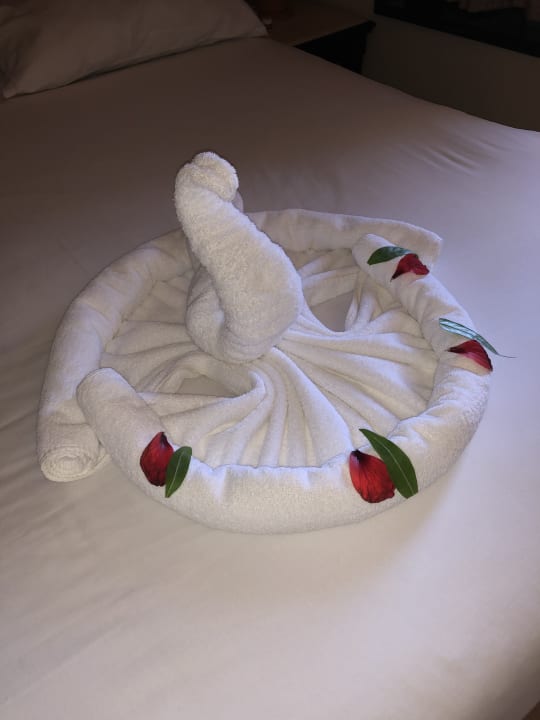 Zimmer Steigenberger Coraya Beach - Adults only