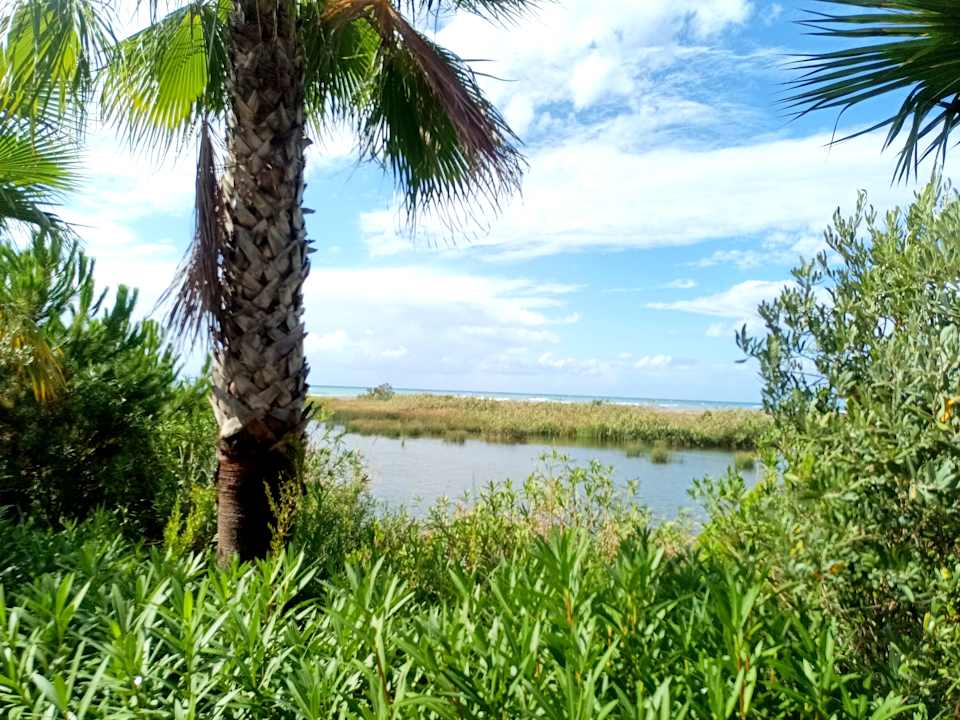 Gartenanlage Sunmelia Beach Resort