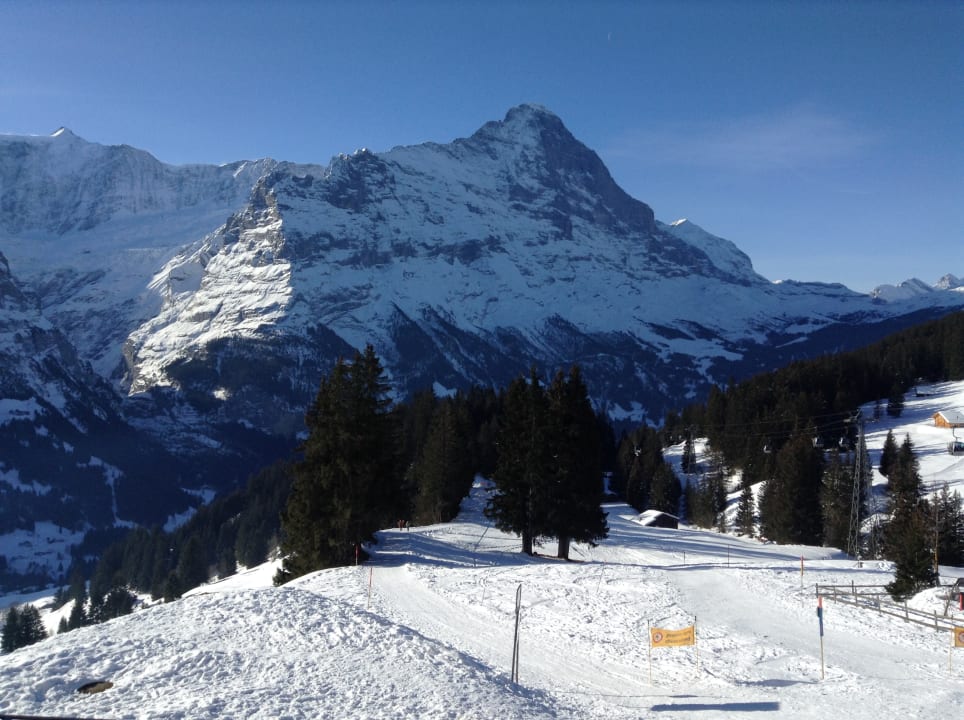 Ausblick Alpinhotel Bort