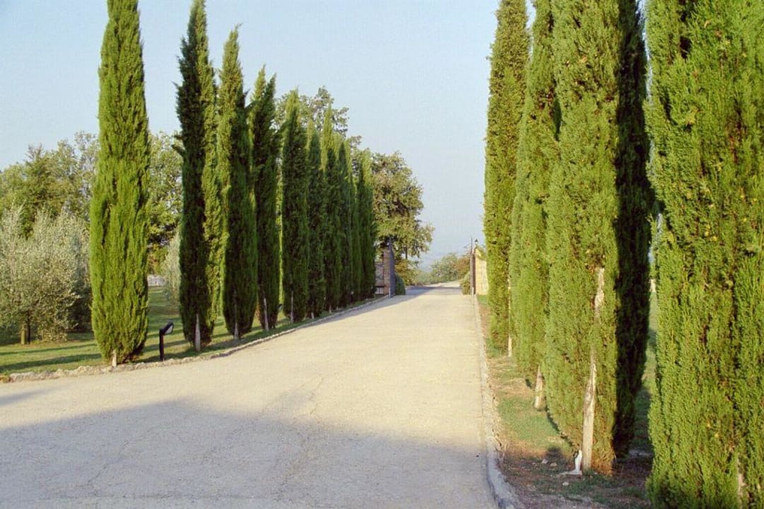 Zufahrt zum Hotel Hotel Casolare le Terre Rosse