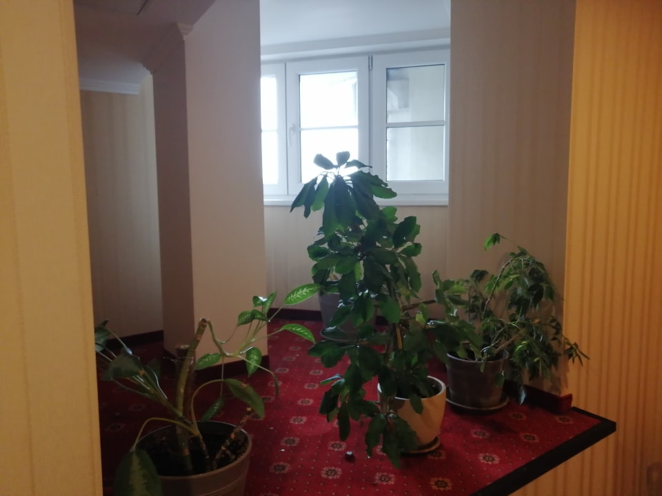 Sonstiges Rixwell Gertrude Hotel