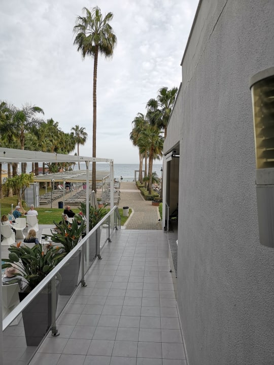 Gartenanlage Hotel Riu Nautilus - Adults only