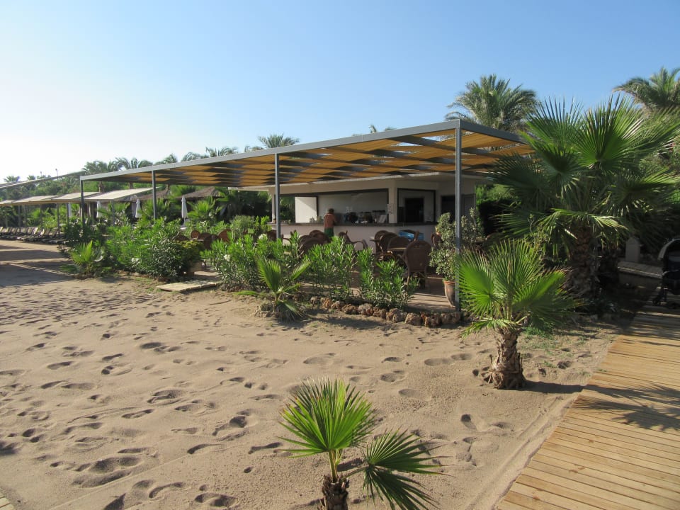 Gastro Royal Wings Hotel