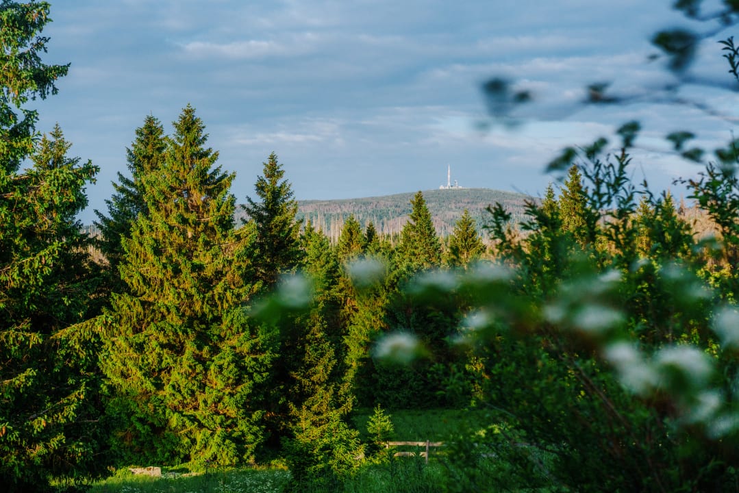 Ausblick Torfhaus Harzresort