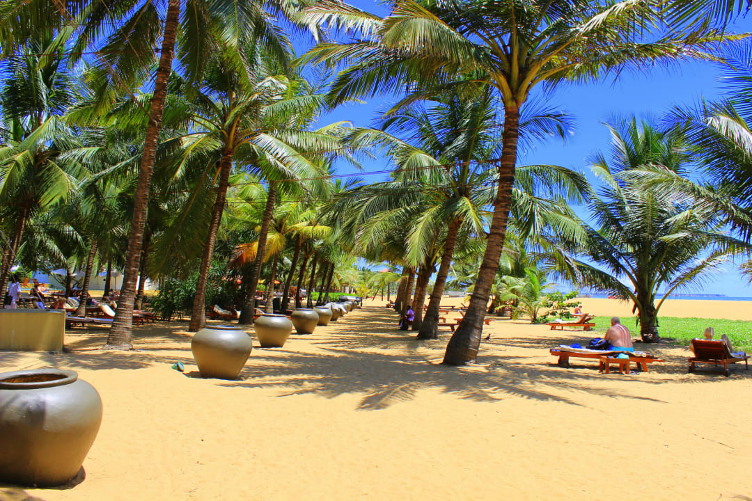 Reichlich Liegen am Beach Hotel Jetwing Beach