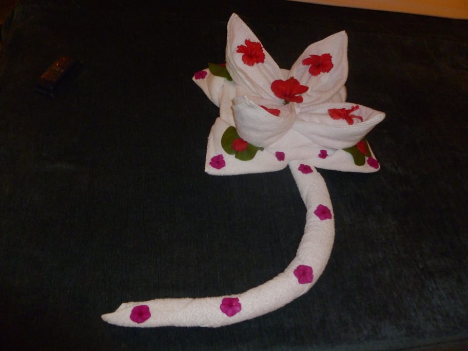 Tägliche Überaschung Concorde El Salam Hotel Sharm el Sheikh by Royal Tulip