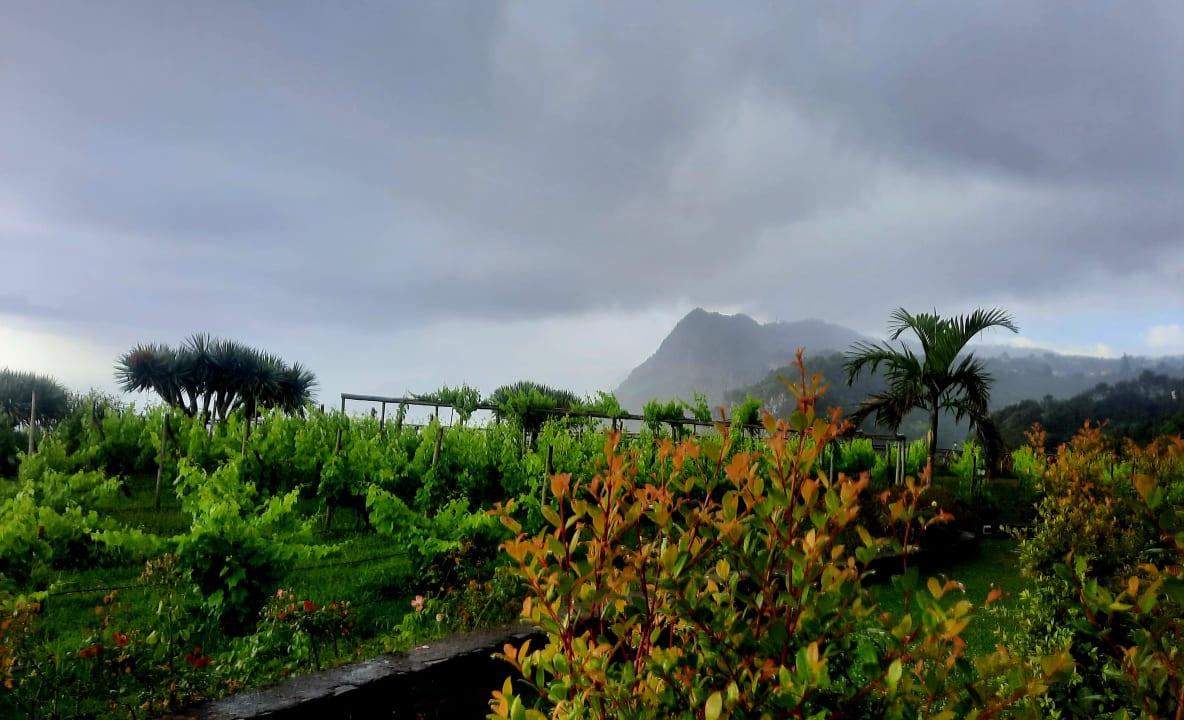 Ausblick Hotel Quinta do Furao