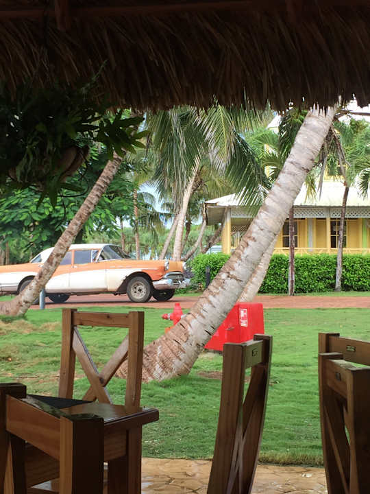 Gartenanlage Sirenis Tropical Varadero