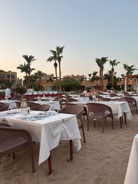 Gastro Shams Prestige Abu Soma-Adults Only