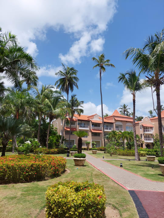 Gartenanlage TRS Turquesa Hotel - Adults only