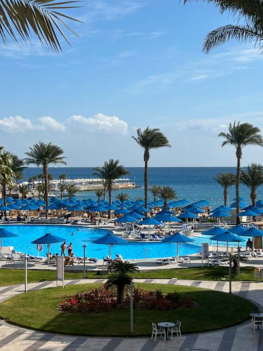 Gartenanlage Beach Albatros Resort