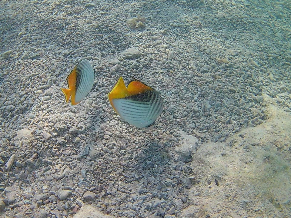 Strand Three Corners Sea Beach Resort