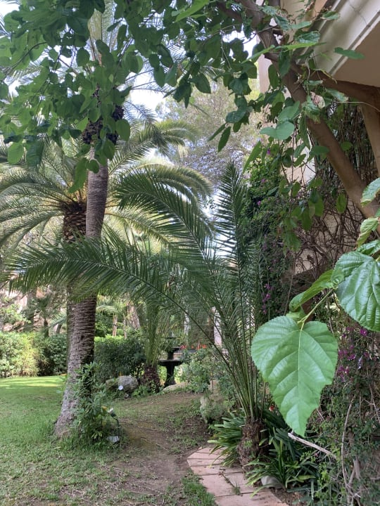 Gartenanlage Lago Garden
