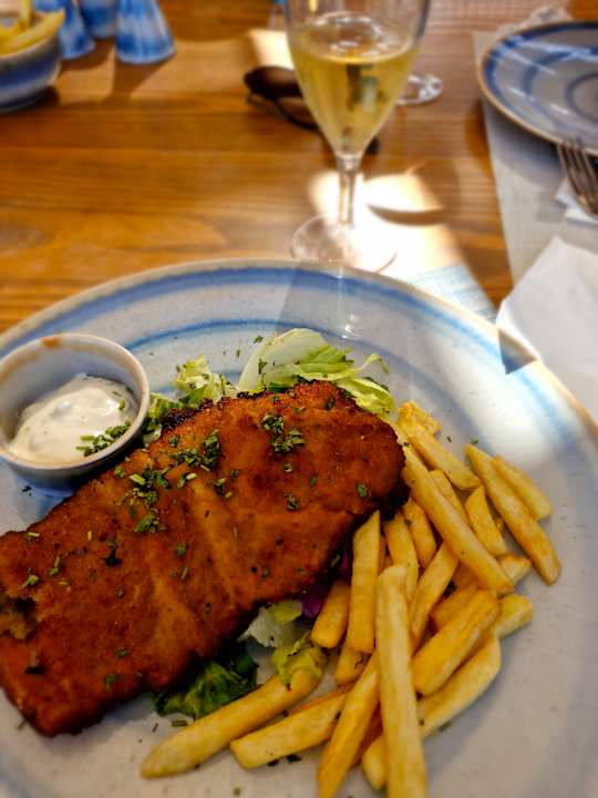 Gastro JAZ Elite Asteria