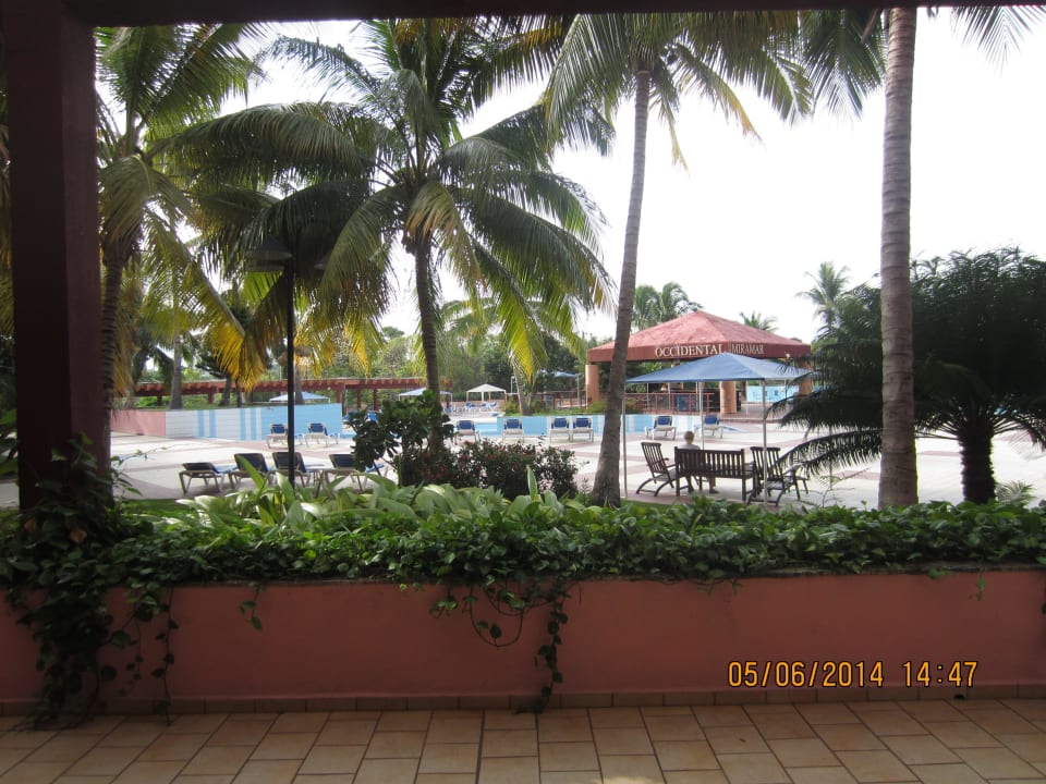 Pool Memories Miramar Havana