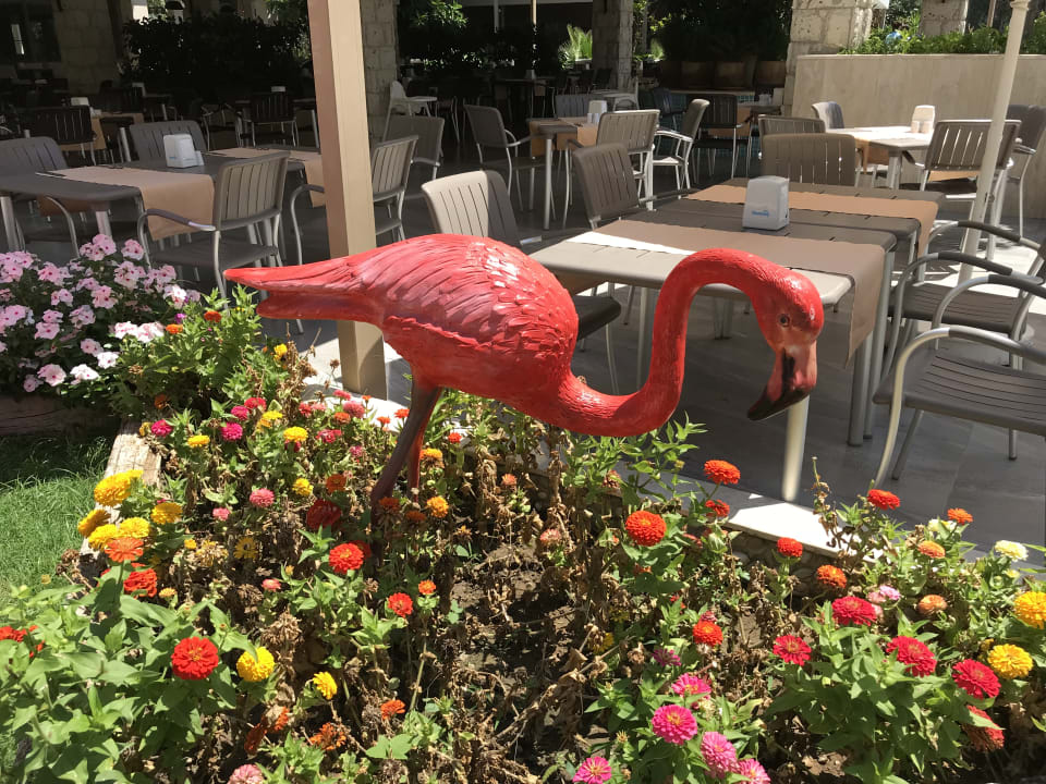 Gartenanlage Belek Beach Resort Hotel