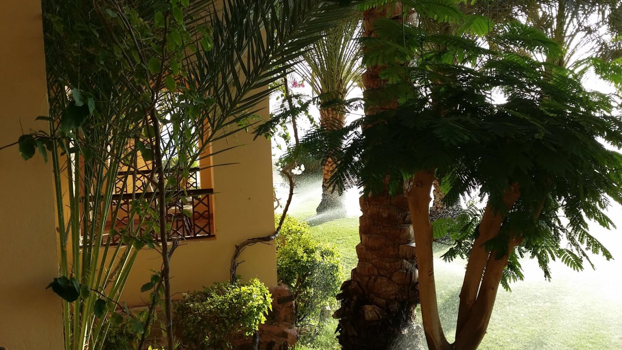 Vom Balkon Steigenberger Coraya Beach - Adults only