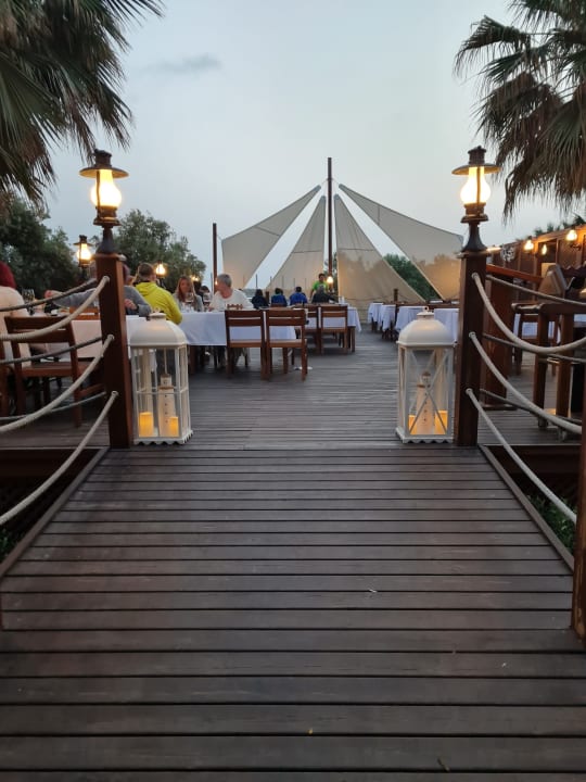 Gastro Blue Waters Club