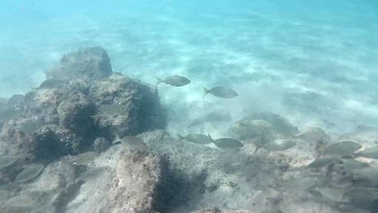 Strand Relaxia Olivina