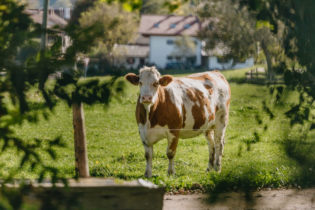Sonstiges Bernwieserhof