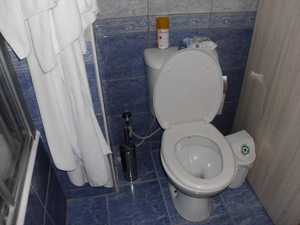 Alles sauber in 2508 !!! Papillon Belvil