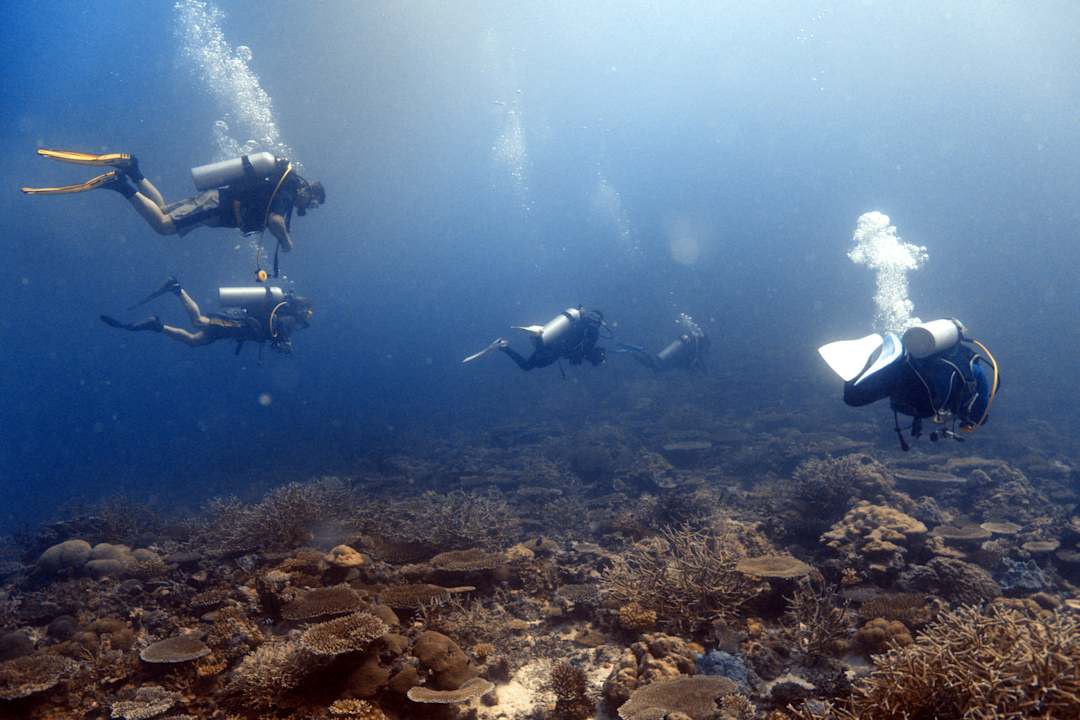 Sport & Freizeit Safari Island Maldives