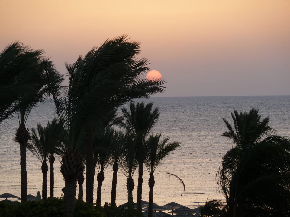 Ausblick Makadi Spa - Adults only