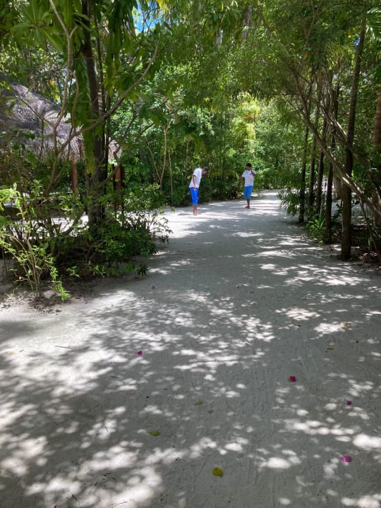 Gartenanlage Summer Island Maldives