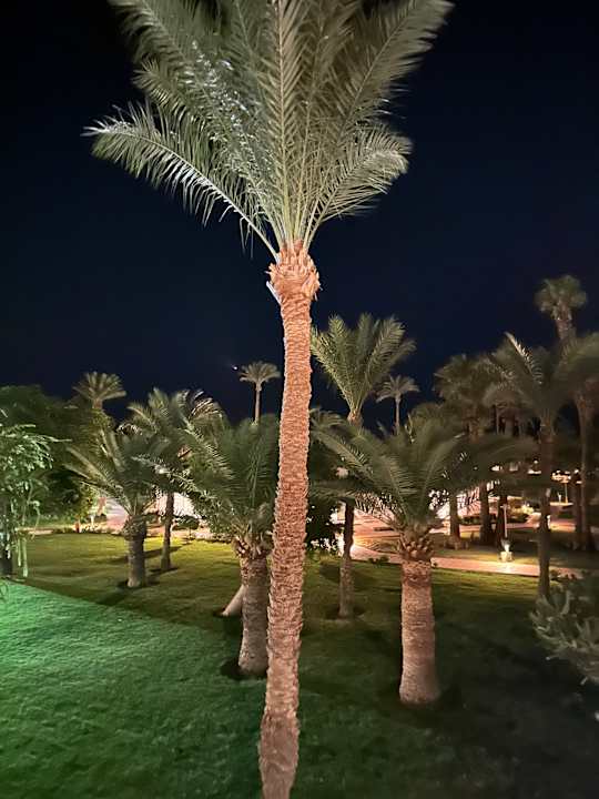 Ausblick Shams Safaga Resort