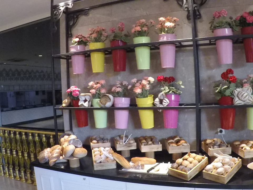 Gastro Well Palace Side