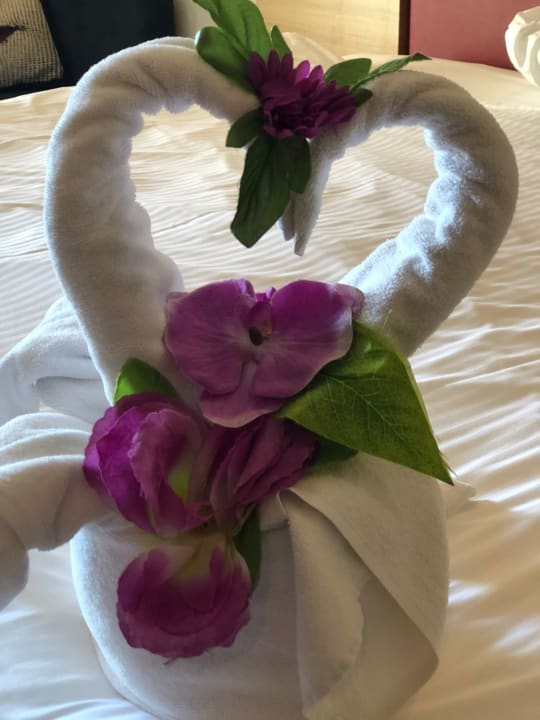 Zimmer Hotel Delphin Imperial