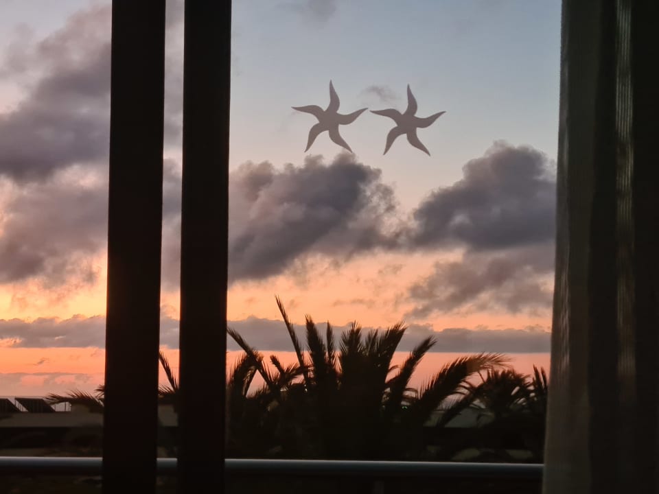 Ausblick Iberostar Waves Gaviotas Park