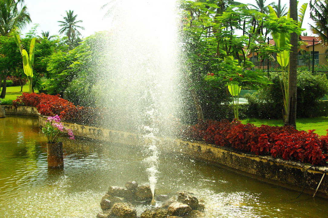 Rechts vom Eingang Punta Cana Princess All Suites Resort & Spa