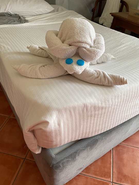 Zimmer Three Corners Sea Beach Resort