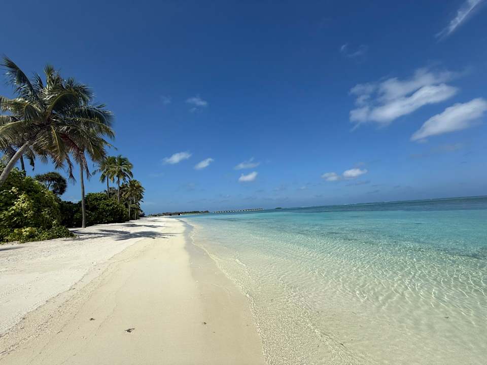 Strand Jawakara Islands Maldives