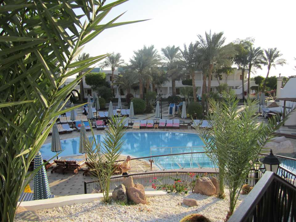 Kinderpool Sultan Gardens Resort