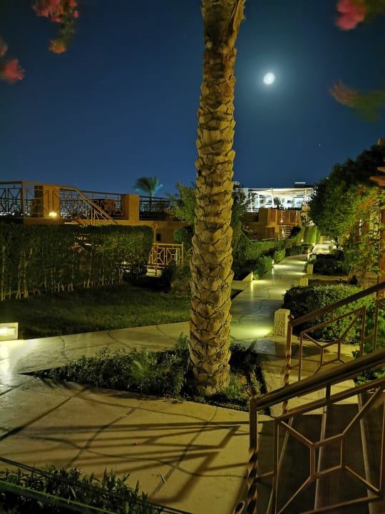 Garten Shams Prestige Abu Soma-Adults Only