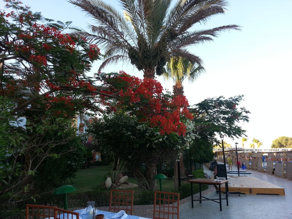 Hotelanlage Arabia Azur Resort