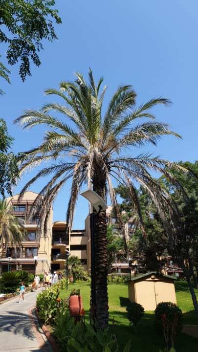 Außenansicht Asteria Family Belek
