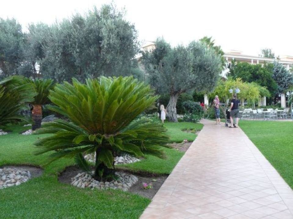 Gartenanlage Playa Garden Selection Hotel & Spa