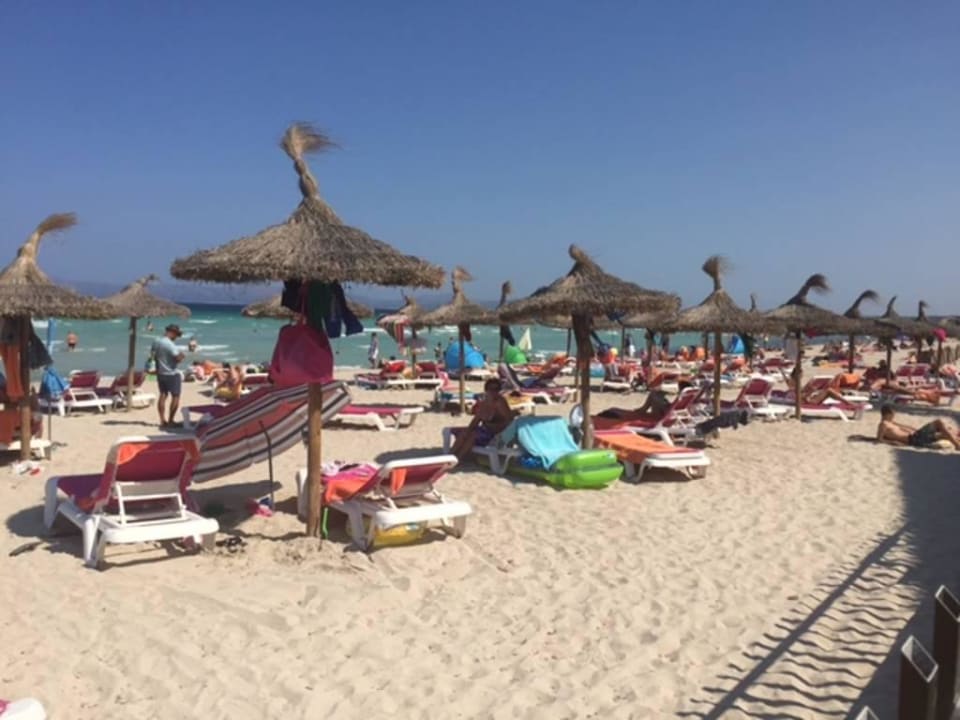 Kostenpflichtige Liegen und Schirme  allsun Hotel Eden Alcudia