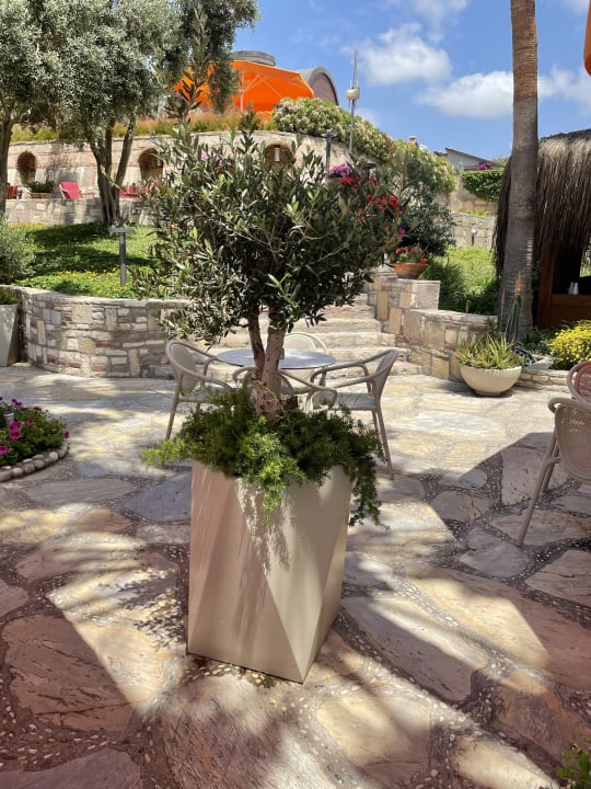 Gartenanlage Arum Barut Collection