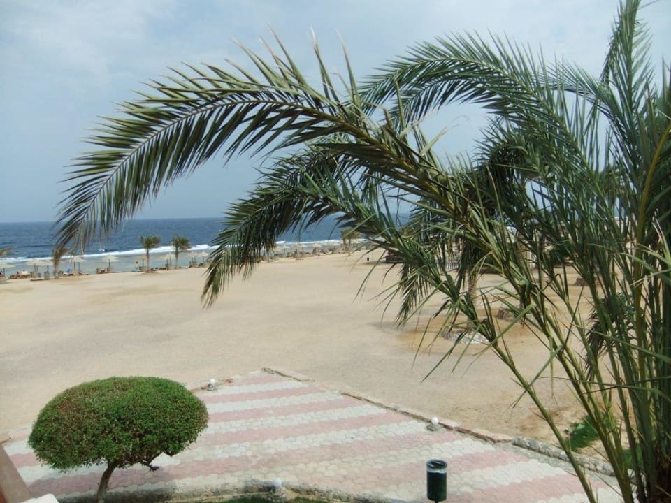 Blick vom Balkon Three Corners Sea Beach Resort