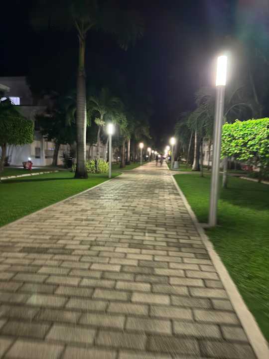 Gartenanlage Hotel Riu Playacar