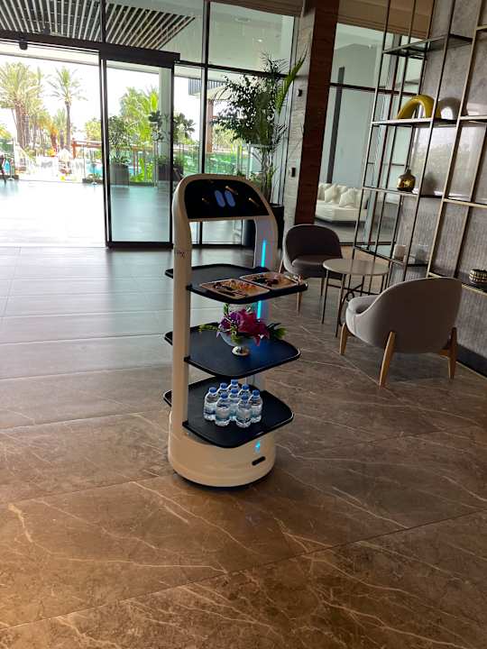 Lobby Süral Saray Hotel