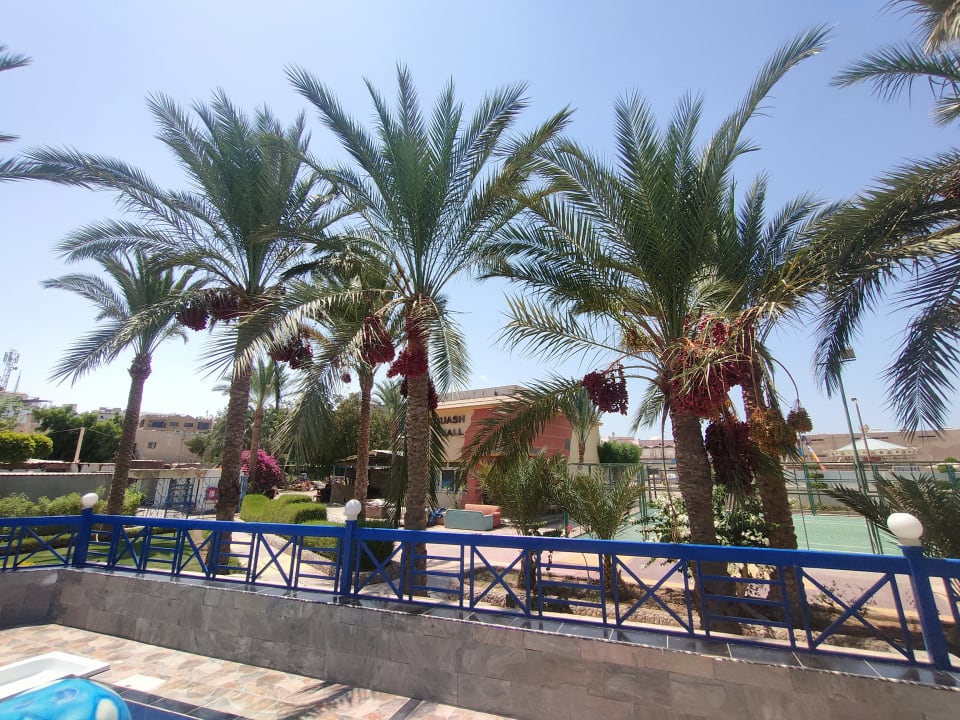 Gartenanlage Seagull Beach Resort