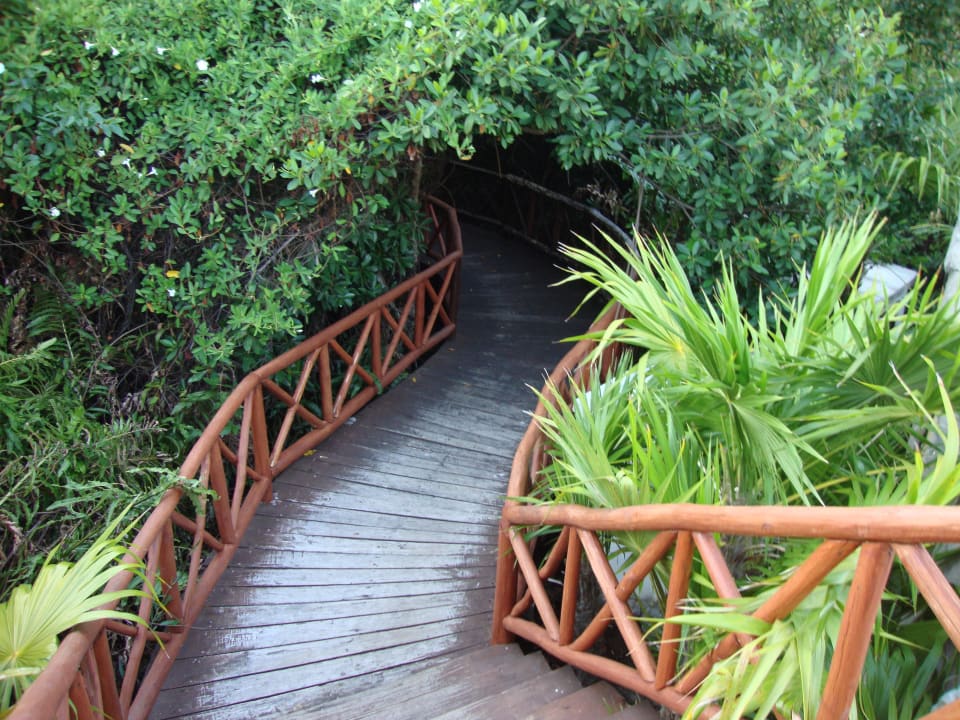 Weg Iberostar Selection Paraiso Maya Suites