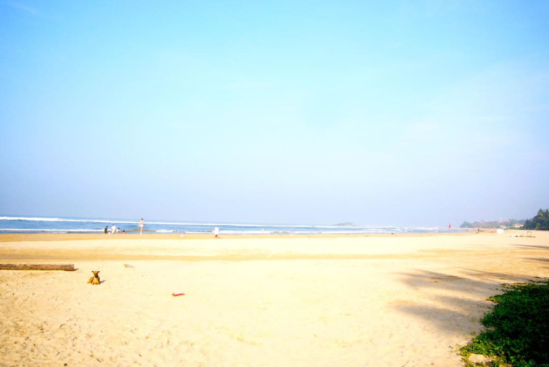 Strandansicht Hotel Lanka Princess Ayurveda