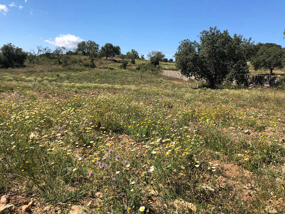 Ausblick Villa 3 - Carrossa Hotel Spa Villas