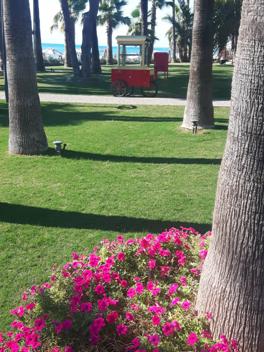 Gartenanlage Acanthus Cennet Barut Collection